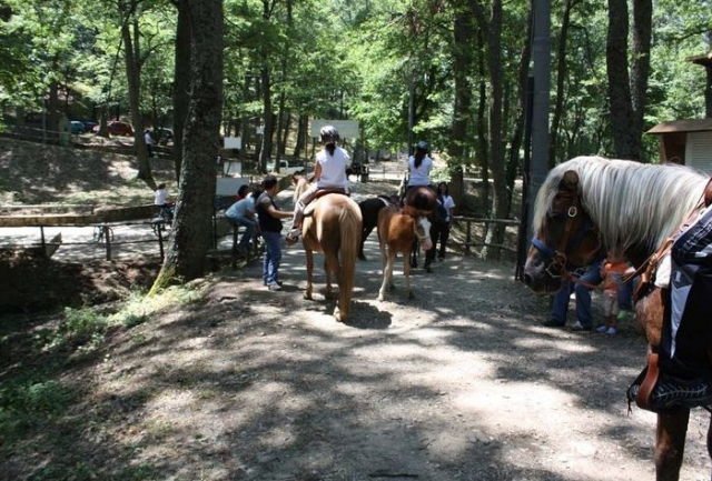 Passeggiate a cavallo